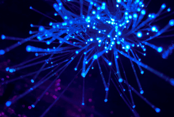 Salvage & Damage Car Basics